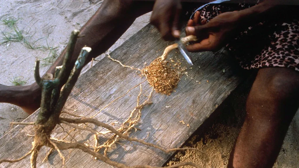 20231223 usp501.webp