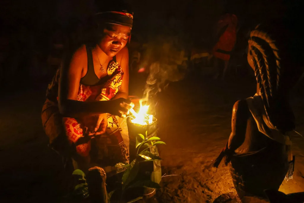 iboga gabon.jpg.webp