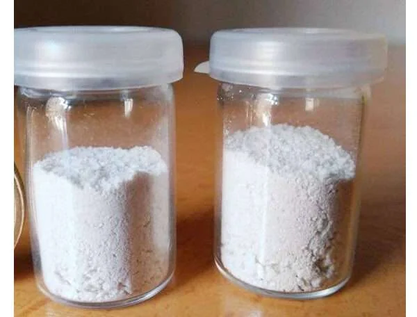 iboga8 600x456 1.webp