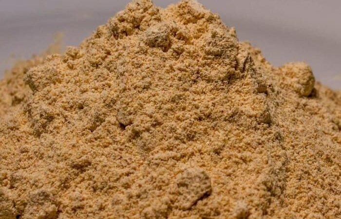 About to Fly to Mexico for Ibogaine? Hope or Risk